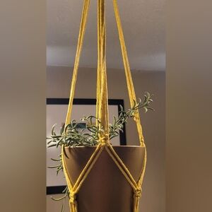 Macrame Plant Hanger ( Sunshine )